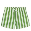 Swim Shorts